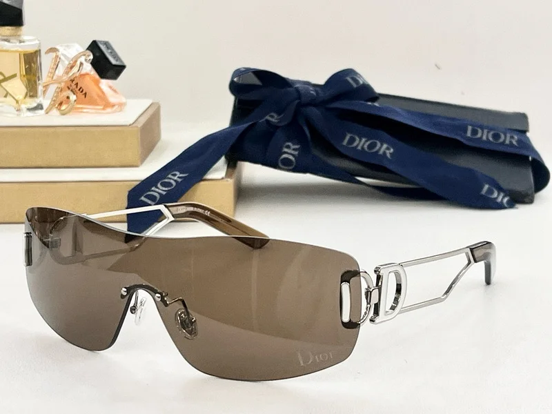 Dior Glasses smh (88)